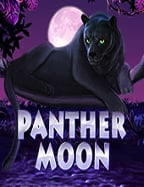 เพลิดเพลินกับสล็อต ค่าย sg ที่สนุกและน่าสนใจ